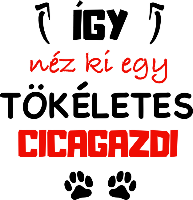 így néz ki egy tökéletes cicagazdi