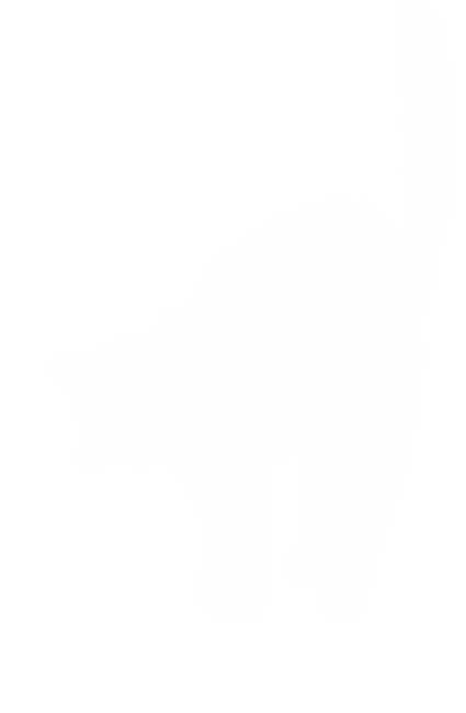 Ha ezt el tudod olvasni, túl közel jöttél fehér