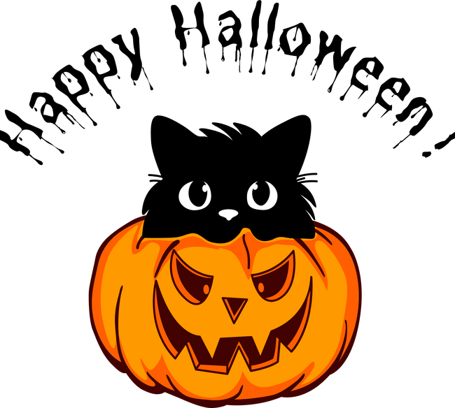 Happy Halloween cica a tökben