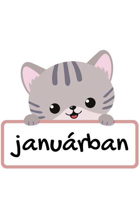 A legjobb cicagazdik januárban születtek