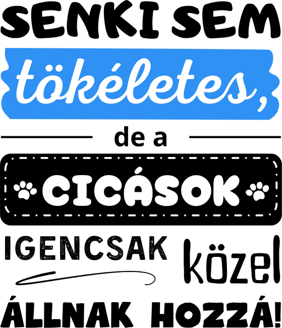 Senki sem tökéletes, de a cicások igencsak közel állnak hozzá