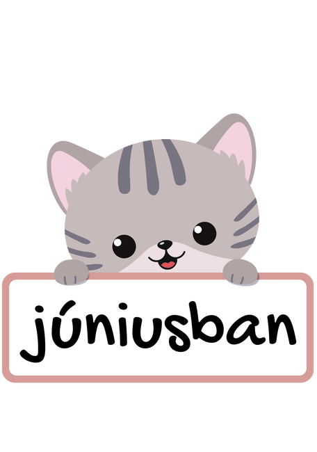 A legjobb cicagazdik júniusban születtek