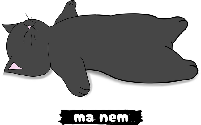 Ma nem - cica