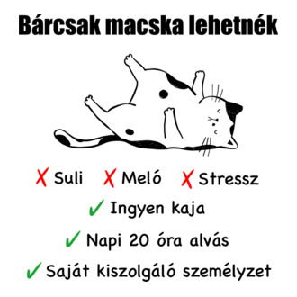 Bárcsak macska lehetnék