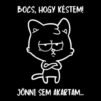 Bocs, hogy késtem! Jönni sem akartam... cica