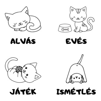 Cicaélet: alvás, evés, játék, ismétlés