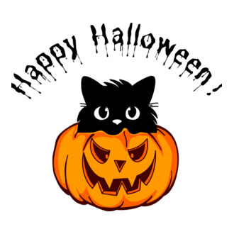 Happy Halloween cica a tökben