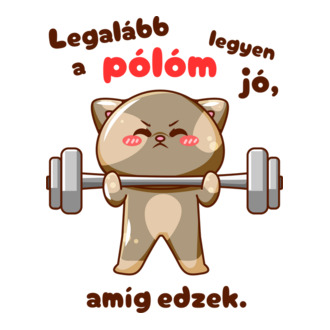 Legalább a pólóm legyen jó, amíg edzek - cica
