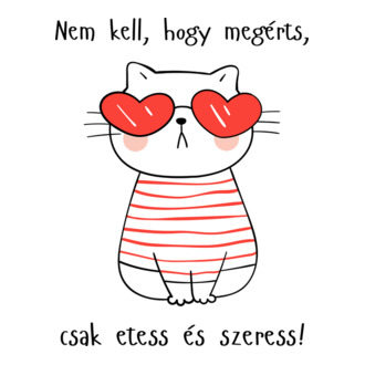 Nem kell, hogy megérts, csak etess és szeress! cica