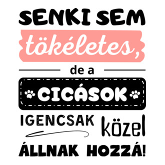 Senki sem tökéletes, de a cicások igencsak közel állnak hozzá