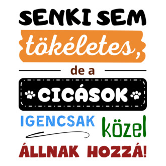 Senki sem tökéletes, de a cicások igencsak közel állnak hozzá
