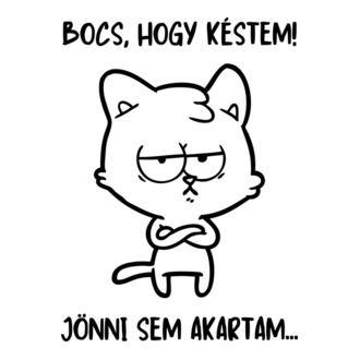 cicajo-bocs-hogy-kestem-cica-fekete